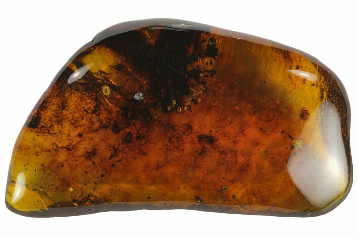 Polished Chiapas Amber ( g) - Mexico #114810
